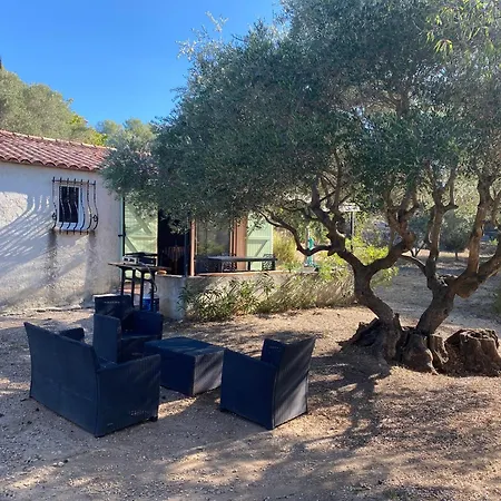 Maison Individuelle Climatisee Avec Piscine